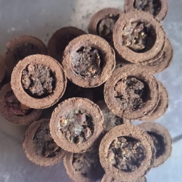 Panchgavy Havan Cup (Set of 25)